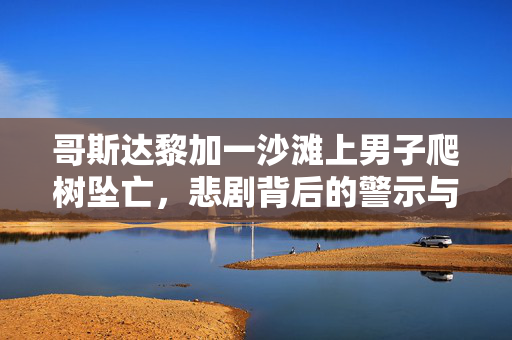 哥斯达黎加一沙滩上男子爬树坠亡，悲剧背后的警示与反思