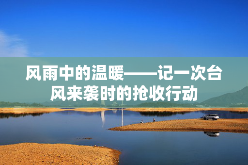 风雨中的温暖——记一次台风来袭时的抢收行动
