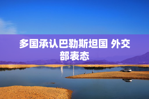 多国承认巴勒斯坦国 外交部表态