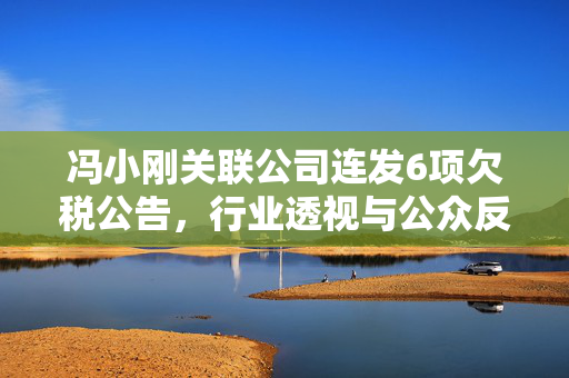 冯小刚关联公司连发6项欠税公告，行业透视与公众反思