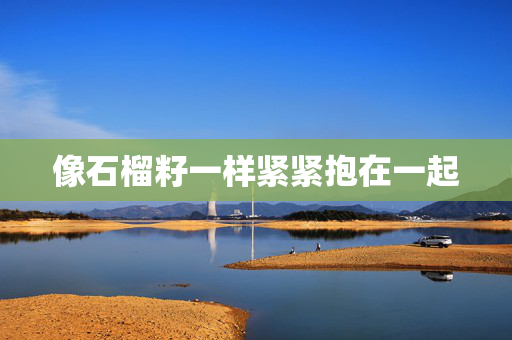像石榴籽一样紧紧抱在一起
