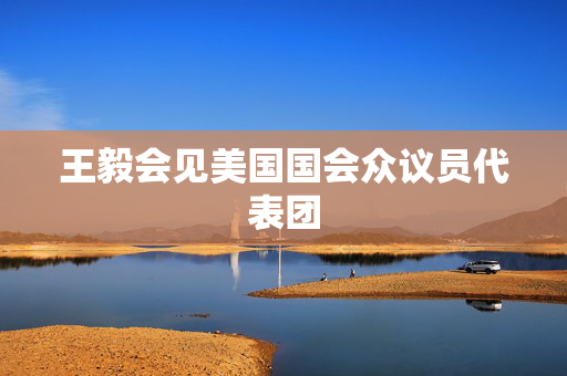 王毅会见美国国会众议员代表团