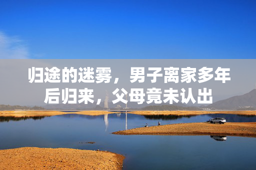 归途的迷雾，男子离家多年后归来，父母竟未认出