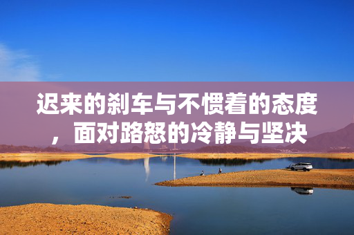 迟来的刹车与不惯着的态度，面对路怒的冷静与坚决