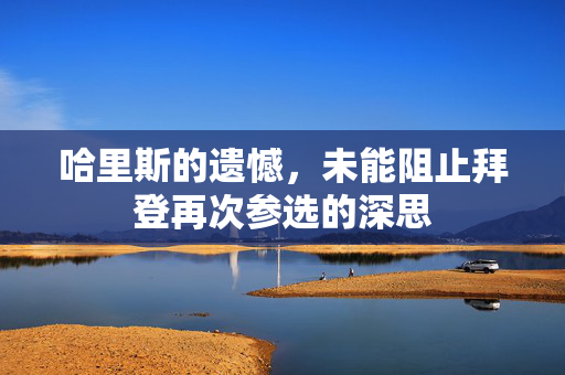 哈里斯的遗憾，未能阻止拜登再次参选的深思