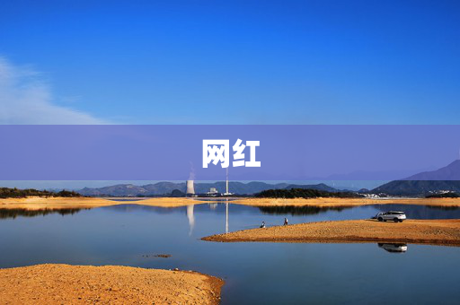 网红