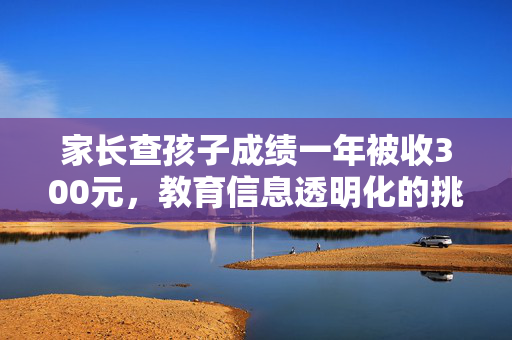 家长查孩子成绩一年被收300元，教育信息透明化的挑战与思考