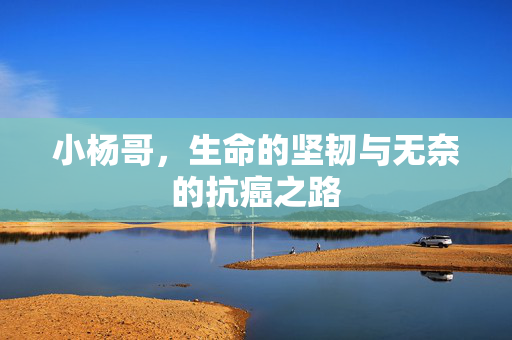 小杨哥，生命的坚韧与无奈的抗癌之路