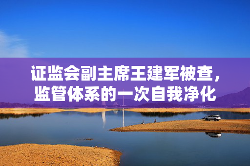 证监会副主席王建军被查，监管体系的一次自我净化