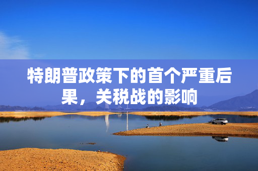 特朗普政策下的首个严重后果，关税战的影响