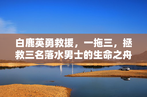 白鹿英勇救援，一拖三，拯救三名落水男士的生命之舟