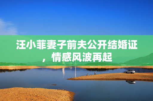 汪小菲妻子前夫公开结婚证，情感风波再起