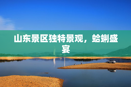 山东景区独特景观，蛤蜊盛宴