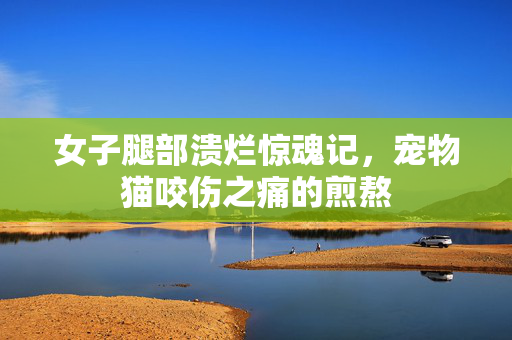 女子腿部溃烂惊魂记，宠物猫咬伤之痛的煎熬