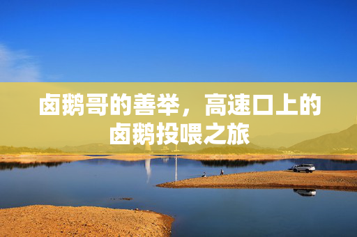 卤鹅哥的善举，高速口上的卤鹅投喂之旅
