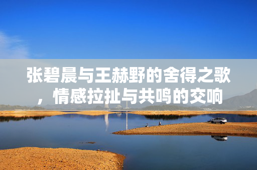张碧晨与王赫野的舍得之歌，情感拉扯与共鸣的交响