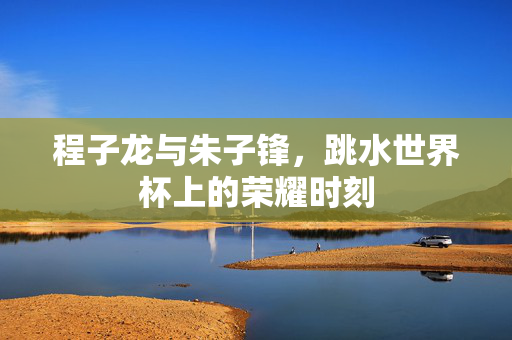 程子龙与朱子锋，跳水世界杯上的荣耀时刻