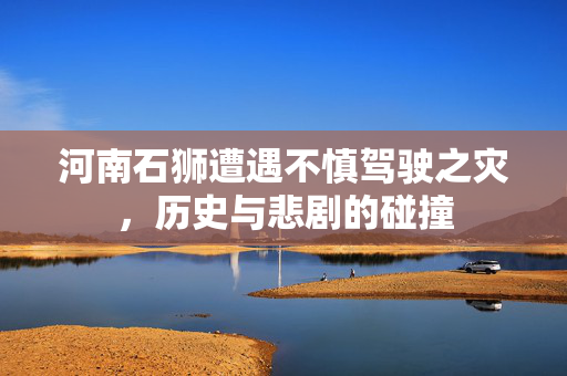河南石狮遭遇不慎驾驶之灾，历史与悲剧的碰撞