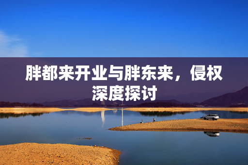 胖都来开业与胖东来，侵权深度探讨