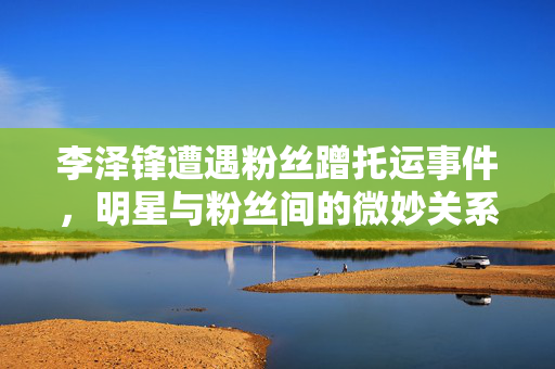 李泽锋遭遇粉丝蹭托运事件，明星与粉丝间的微妙关系揭秘。
