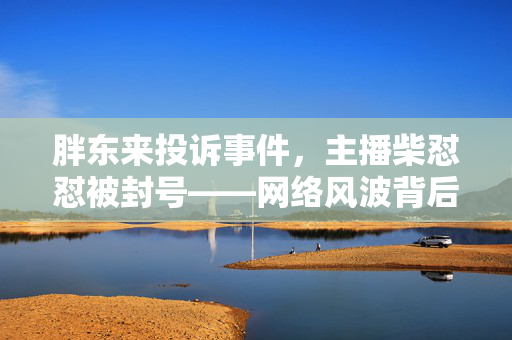 胖东来投诉事件，主播柴怼怼被封号——网络风波背后的反思
