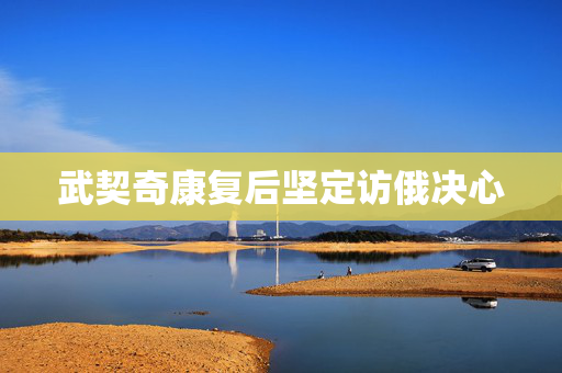 武契奇康复后坚定访俄决心